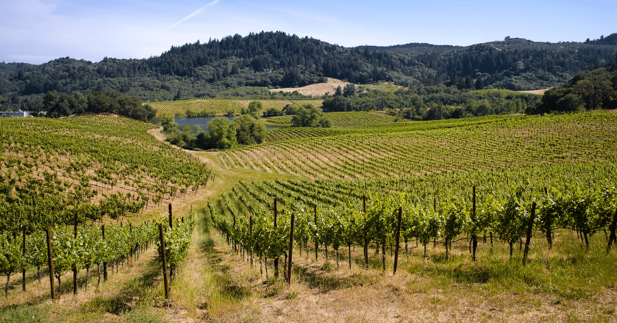 Best Small Towns In California - Sonoma