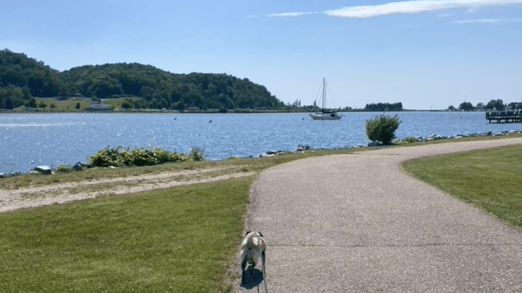 Things To Do in Frankfort Michigan - Bike the Betsie Valley Trail