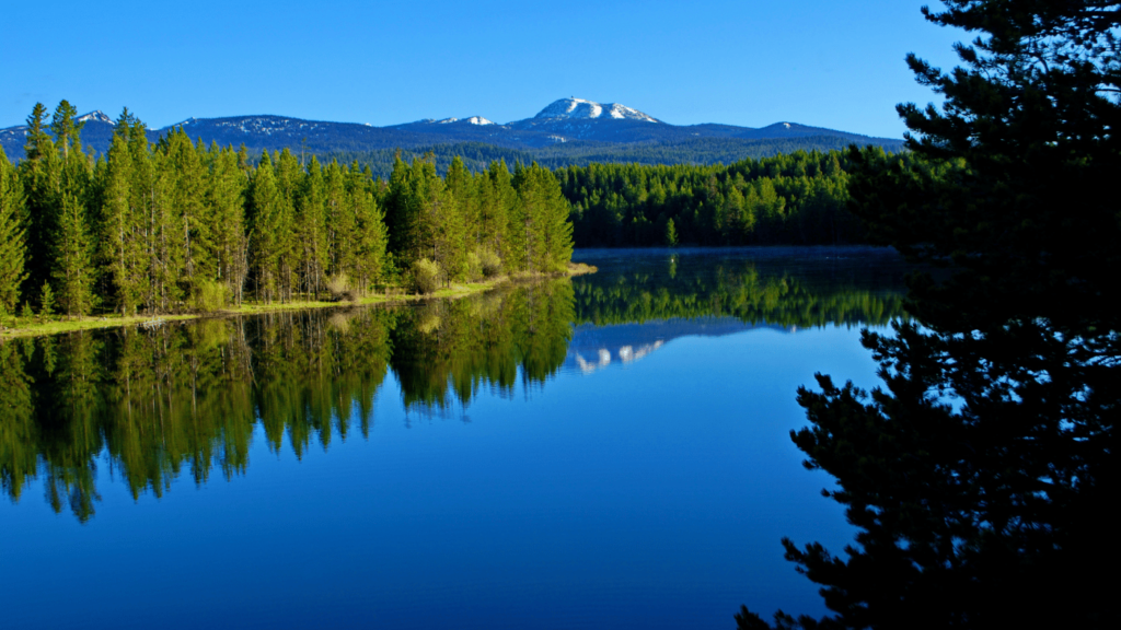 Things to Do in Island Park Idaho - Nature