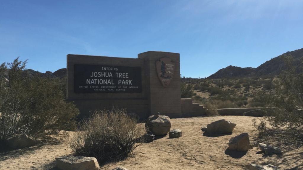 Things to do in Joshua Tree California - Explore Joshua Tree National Park