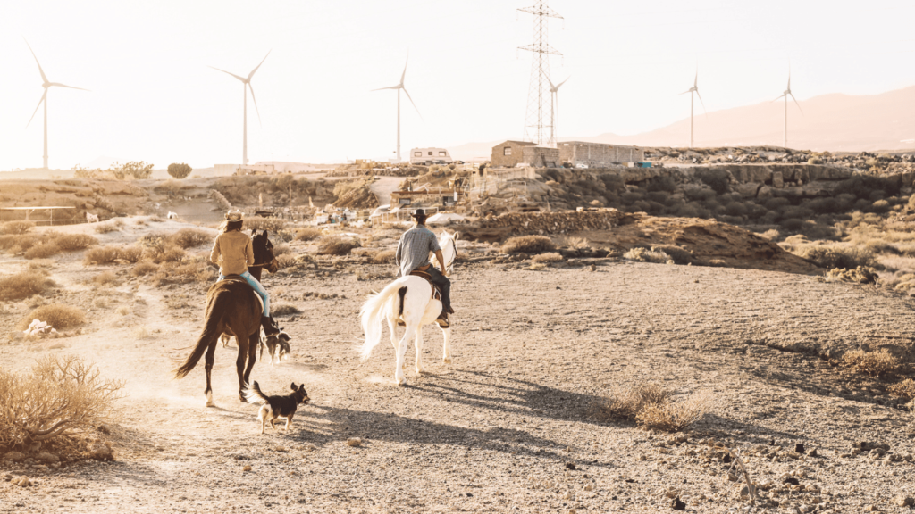 Things to do in Joshua Tree California - Horseback Riding in the Desert